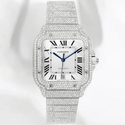 Cartier Santos ice